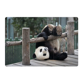 Магнитный плакат 3Х2 с принтом Паркур панда в Новосибирске, Полимерный материал с магнитным слоем | 6 деталей размером 9*9 см | бамбук | животное | медведь