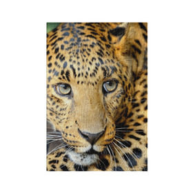 Обложка для паспорта матовая кожа с принтом Леопард в Новосибирске, натуральная матовая кожа | размер 19,3 х 13,7 см; прозрачные пластиковые крепления | властелин | глаз | грация | животные | зверь | кот | кошачий | кошки | крупный | леопард | лес | млекопитающее | природа | пятна | рыжий | усатый | усы | фауна | флора | хищник | хозяин | царь джунгли