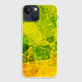 Чехол для iPhone 13 mini с принтом Particles в Новосибирске,  |  | желтый | зеленый | потертый | треугольники | яркий