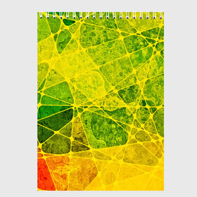 Скетчбук с принтом Particles в Новосибирске, 100% бумага
 | 48 листов, плотность листов — 100 г/м2, плотность картонной обложки — 250 г/м2. Листы скреплены сверху удобной пружинной спиралью | желтый | зеленый | потертый | треугольники | яркий
