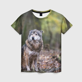 Женская футболка 3D с принтом Серый волк в Новосибирске, 100% полиэфир ( синтетическое хлопкоподобное полотно) | прямой крой, круглый вырез горловины, длина до линии бедер | Тематика изображения на принте: бирюк | волк | волчара | волчица | волчок | глаза | животное | животные | зверь | зеленые | койот | лес | млекопитающее | природа | санитар леса | серый | уши | фауна | хищник | черный | шакал