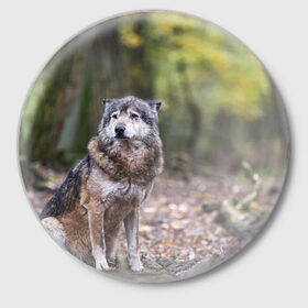 Значок с принтом Серый волк в Новосибирске,  металл | круглая форма, металлическая застежка в виде булавки | бирюк | волк | волчара | волчица | волчок | глаза | животное | животные | зверь | зеленые | койот | лес | млекопитающее | природа | санитар леса | серый | уши | фауна | хищник | черный | шакал