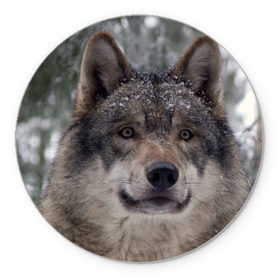 Коврик круглый с принтом Серый волк в Новосибирске, резина и полиэстер | круглая форма, изображение наносится на всю лицевую часть | бирюк | волк | волчара | волчица | волчок | глаза | животное | животные | зверь | зеленые | койот | лес | млекопитающее | природа | санитар леса | серый | уши | фауна | хищник | черный | шакал