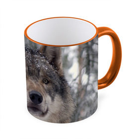 Кружка 3D с принтом Серый волк в Новосибирске, керамика | ёмкость 330 мл | бирюк | волк | волчара | волчица | волчок | глаза | животное | животные | зверь | зеленые | койот | лес | млекопитающее | природа | санитар леса | серый | уши | фауна | хищник | черный | шакал