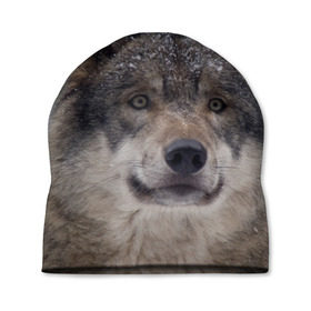 Шапка 3D с принтом Серый волк в Новосибирске, 100% полиэстер | универсальный размер, печать по всей поверхности изделия | бирюк | волк | волчара | волчица | волчок | глаза | животное | животные | зверь | зеленые | койот | лес | млекопитающее | природа | санитар леса | серый | уши | фауна | хищник | черный | шакал