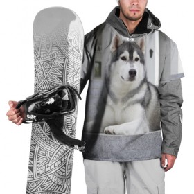 Накидка на куртку 3D с принтом Волчья парода в Новосибирске, 100% полиэстер |  | аука | бирюк | волк | волчара | волчица | волчок | город | животное | животные | зверь | койот | лес | млекопитающее | парода | санитар леса | серый | собака | уши | фауна | хищник | черный | шакал