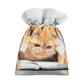 Подарочный 3D мешок с принтом Кот ученый в Новосибирске, 100% полиэстер | Размер: 29*39 см | грустный | добрый | животное | киса | киска | кот | котенок | котэ | кошка | красивый | лапа | лапка | ласковый | милый | очки | прикольный | рыжий | смешной | унылый | усатый | шерсть
