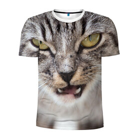 Мужская футболка 3D спортивная с принтом Дерзкий котэ в Новосибирске, 100% полиэстер с улучшенными характеристиками | приталенный силуэт, круглая горловина, широкие плечи, сужается к линии бедра | грустный | добрый | животное | киса | киска | кот | котенок | котэ | кошка | красивый | лапа | лапка | ласковый | милый | моська | мурлыка | прикольный | смешной | унылый | усатый | шерсть
