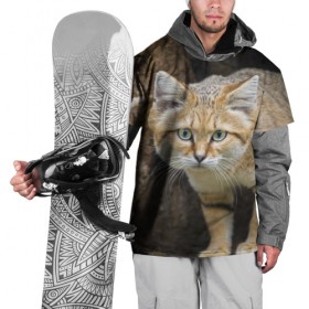 Накидка на куртку 3D с принтом Песчаный кот в Новосибирске, 100% полиэстер |  | грустный | добрый | животное | киса | киска кися | кот | котенок | котэ | кошка | красивый | лапа | лапка | ласковый | милый | моська | мурлыка | прикольный | смешной | унылый | усатый | шерсть