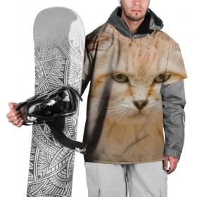 Накидка на куртку 3D с принтом Рыжий кот в Новосибирске, 100% полиэстер |  | грустный | добрый | животное | киса | киска кися | кот | котенок | котэ | кошка | красивый | лапа | лапка | ласковый | милый | моська | мурлыка | прикольный | смешной | унылый | усатый | шерсть