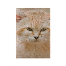 Обложка для паспорта матовая кожа с принтом Рыжий кот в Новосибирске, натуральная матовая кожа | размер 19,3 х 13,7 см; прозрачные пластиковые крепления | грустный | добрый | животное | киса | киска кися | кот | котенок | котэ | кошка | красивый | лапа | лапка | ласковый | милый | моська | мурлыка | прикольный | смешной | унылый | усатый | шерсть