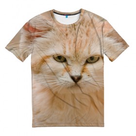 Мужская футболка 3D с принтом Рыжий кот в Новосибирске, 100% полиэфир | прямой крой, круглый вырез горловины, длина до линии бедер | грустный | добрый | животное | киса | киска кися | кот | котенок | котэ | кошка | красивый | лапа | лапка | ласковый | милый | моська | мурлыка | прикольный | смешной | унылый | усатый | шерсть