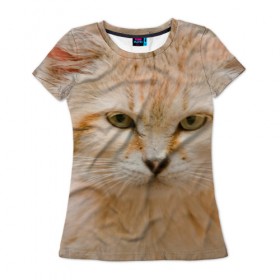 Женская футболка 3D с принтом Рыжий кот в Новосибирске, 100% полиэфир ( синтетическое хлопкоподобное полотно) | прямой крой, круглый вырез горловины, длина до линии бедер | Тематика изображения на принте: грустный | добрый | животное | киса | киска кися | кот | котенок | котэ | кошка | красивый | лапа | лапка | ласковый | милый | моська | мурлыка | прикольный | смешной | унылый | усатый | шерсть