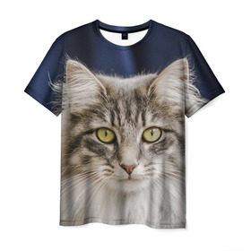 Мужская футболка 3D с принтом Серый кот в Новосибирске, 100% полиэфир | прямой крой, круглый вырез горловины, длина до линии бедер | грустный | добрый | животное | киса | киска кися | кот | котенок | котэ | кошка | красивый | лапа | лапка | ласковый | милый | моська | мурлыка | прикольный | смешной | унылый | усатый | шерсть