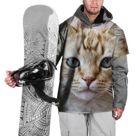 Накидка на куртку 3D с принтом Рыжий кот, зеленые глаза в Новосибирске, 100% полиэстер |  | грустный | добрый | животное | киса | киска кися | кот | котенок | котэ | кошка | красивый | лапа | лапка | ласковый | милый | моська | мурлыка | прикольный | смешной | унылый | усатый | шерсть