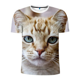 Мужская футболка 3D спортивная с принтом Рыжий кот, зеленые глаза в Новосибирске, 100% полиэстер с улучшенными характеристиками | приталенный силуэт, круглая горловина, широкие плечи, сужается к линии бедра | Тематика изображения на принте: грустный | добрый | животное | киса | киска кися | кот | котенок | котэ | кошка | красивый | лапа | лапка | ласковый | милый | моська | мурлыка | прикольный | смешной | унылый | усатый | шерсть