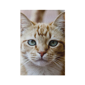 Обложка для паспорта матовая кожа с принтом Рыжий кот, зеленые глаза в Новосибирске, натуральная матовая кожа | размер 19,3 х 13,7 см; прозрачные пластиковые крепления | грустный | добрый | животное | киса | киска кися | кот | котенок | котэ | кошка | красивый | лапа | лапка | ласковый | милый | моська | мурлыка | прикольный | смешной | унылый | усатый | шерсть