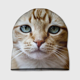 Шапка 3D с принтом Рыжий кот, зеленые глаза в Новосибирске, 100% полиэстер | универсальный размер, печать по всей поверхности изделия | грустный | добрый | животное | киса | киска кися | кот | котенок | котэ | кошка | красивый | лапа | лапка | ласковый | милый | моська | мурлыка | прикольный | смешной | унылый | усатый | шерсть