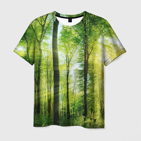 Мужская футболка 3D с принтом Солнечный лес в Новосибирске, 100% полиэфир | прямой крой, круглый вырез горловины, длина до линии бедер | деревья | зелень | лес | лето | лучи солнца | солнце | тайга