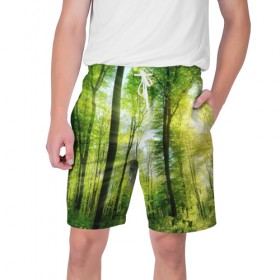 Мужские шорты 3D с принтом Солнечный лес в Новосибирске,  полиэстер 100% | прямой крой, два кармана без застежек по бокам. Мягкая трикотажная резинка на поясе, внутри которой широкие завязки. Длина чуть выше колен | деревья | зелень | лес | лето | лучи солнца | солнце | тайга