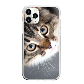 Чехол для iPhone 11 Pro матовый с принтом Кошачий взгляд в Новосибирске, Силикон |  | Тематика изображения на принте: грустный | добрый | животное | киса | киска кися | кот | котенок | котэ | кошка | красивый | лапа | лапка | ласковый | милый | моська | мурлыка | прикольный | смешной | унылый | усатый | шерсть
