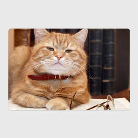 Магнитный плакат 3Х2 с принтом Рыжий кот в Новосибирске, Полимерный материал с магнитным слоем | 6 деталей размером 9*9 см | грустный | добрый | животное | киса | киска кися | кот | котенок | котэ | кошка | красивый | лапа | лапка | ласковый | милый | моська | мурлыка | прикольный | смешной | унылый | усатый | шерсть