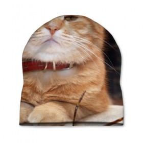 Шапка 3D с принтом Рыжий кот в Новосибирске, 100% полиэстер | универсальный размер, печать по всей поверхности изделия | грустный | добрый | животное | киса | киска кися | кот | котенок | котэ | кошка | красивый | лапа | лапка | ласковый | милый | моська | мурлыка | прикольный | смешной | унылый | усатый | шерсть