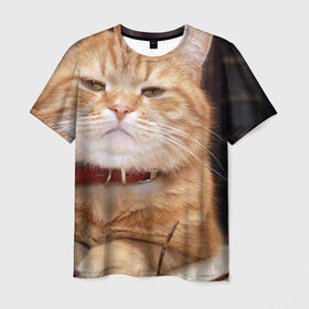 Мужская футболка 3D с принтом Рыжий кот в Новосибирске, 100% полиэфир | прямой крой, круглый вырез горловины, длина до линии бедер | грустный | добрый | животное | киса | киска кися | кот | котенок | котэ | кошка | красивый | лапа | лапка | ласковый | милый | моська | мурлыка | прикольный | смешной | унылый | усатый | шерсть