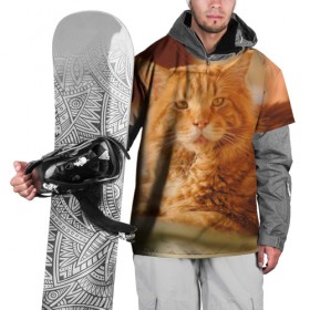 Накидка на куртку 3D с принтом Рыжий кот в Новосибирске, 100% полиэстер |  | грустный | добрый | животное | киса | киска кися | кот | котенок | котэ | кошка | красивый | лапа | лапка | ласковый | милый | моська | мурлыка | прикольный | смешной | унылый | усатый | шерсть