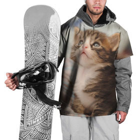 Накидка на куртку 3D с принтом Котенок в Новосибирске, 100% полиэстер |  | грустный | добрый | животное | киса | киска кися | кот | котенок | котэ | кошка | красивый | лапа | лапка | ласковый | милый | моська | мурлыка | прикольный | смешной | унылый | усатый | шерсть