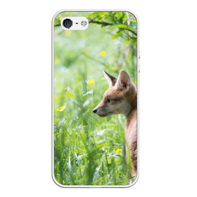 Чехол для iPhone 5/5S матовый с принтом Лисенок в Новосибирске, Силикон | Область печати: задняя сторона чехла, без боковых панелей | Тематика изображения на принте: fox | животное | зверь | красивая | лес | лис | лиса | лисенок | лисица | лисичка | природа | рыжая | рыжий цвет | хвост | хитрая | хищник