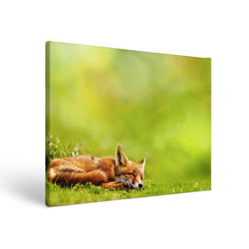 Холст прямоугольный с принтом Лисичка спит в Новосибирске, 100% ПВХ |  | Тематика изображения на принте: fox | животное | зверь | красивая | лес | лис | лиса | лисенок | лисица | лисичка | мех | патрикеевна | песец | плутовка | прикольная | природа | рыжая | рыжий цвет | сказка | хвост | хитрая | хищник