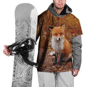 Накидка на куртку 3D с принтом Лиса в Новосибирске, 100% полиэстер |  | Тематика изображения на принте: fox | животное | зверь | красивая | лес | лис | лиса | лисенок | лисица | лисичка | мех | патрикеевна | песец | плутовка | прикольная | природа | рыжая | рыжий цвет | сказка | хвост | хитрая | хищник