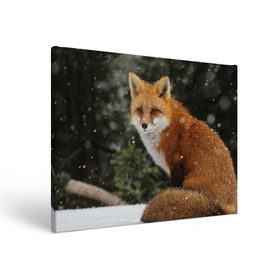 Холст прямоугольный с принтом Лиса в Новосибирске, 100% ПВХ |  | Тематика изображения на принте: fox | животное | зверь | красивая | лес | лис | лиса | лисенок | лисица | лисичка | мех | патрикеевна | песец | плутовка | прикольная | природа | рыжая | рыжий цвет | сказка | хвост | хитрая | хищник