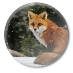Значок с принтом Лиса в Новосибирске,  металл | круглая форма, металлическая застежка в виде булавки | fox | животное | зверь | красивая | лес | лис | лиса | лисенок | лисица | лисичка | мех | патрикеевна | песец | плутовка | прикольная | природа | рыжая | рыжий цвет | сказка | хвост | хитрая | хищник