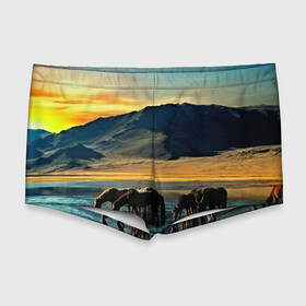 Мужские купальные плавки 3D с принтом Лошади в Новосибирске, Полиэстер 85%, Спандекс 15% |  | 3d | берег | вода | горы | животное | закат | лошади | небо | прикольные | природа | река | солнце | яркие