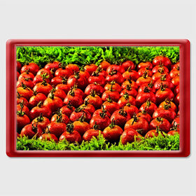 Магнит 45*70 с принтом Томатик в Новосибирске, Пластик | Размер: 78*52 мм; Размер печати: 70*45 | Тематика изображения на принте: 3d | еда | зелень | красный | лето | много | овощи | пища | помидор | прикольные | томат | яркие