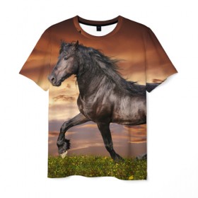 Мужская футболка 3D с принтом Черный конь в Новосибирске, 100% полиэфир | прямой крой, круглый вырез горловины, длина до линии бедер | вожжи | голоп | грация | езда | есаул | жеребец | животное | кобыла | кобылица | конь | копыта | копыто | лошадь | пегас | пони | рысак | сбруя | скакун | скачет | стойло | троя