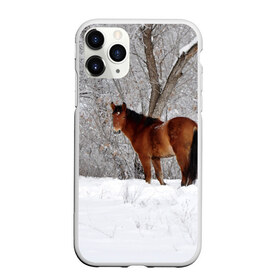 Чехол для iPhone 11 Pro матовый с принтом Лошадка в зимнем лесу в Новосибирске, Силикон |  | Тематика изображения на принте: вожжи | голоп | грация | езда | есаул | жеребец | животное | кобыла | кобылица | конь | копыта | копыто | лошадь | пегас | пони | рысак | сбруя | скакун | скачет | скачка | стойло | троя