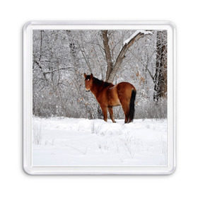 Магнит 55*55 с принтом Лошадка в зимнем лесу в Новосибирске, Пластик | Размер: 65*65 мм; Размер печати: 55*55 мм | вожжи | голоп | грация | езда | есаул | жеребец | животное | кобыла | кобылица | конь | копыта | копыто | лошадь | пегас | пони | рысак | сбруя | скакун | скачет | скачка | стойло | троя