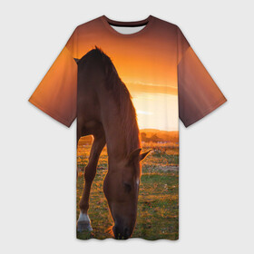 Платье-футболка 3D с принтом Лошадь на закате в Новосибирске,  |  | вожжи | голоп | грация | езда | есаул | жеребец | животное | кобыла | кобылица | конь | копыта | копыто | лошадь | пегас | пони | рысак | сбруя | скакун | скачет | скачка | стойло | троя
