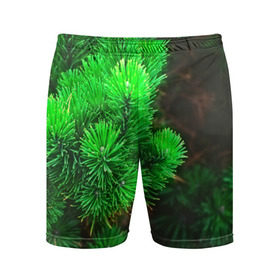 Мужские шорты 3D спортивные с принтом Зелёная ель в Новосибирске,  |  | 3d | ёлка | ель | зелёный | лес | новый год | праздник | природа | текстура | фон