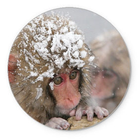 Коврик круглый с принтом Обезьянка и зима в Новосибирске, резина и полиэстер | круглая форма, изображение наносится на всю лицевую часть | бабуин | гамадрил | гиббон | горилла | гуманоид | дарвин | животное | зоопарк | кинг конг | мартышка | маугли | обезьяна | орангутанг | предок | примат | рожа | хомо сапиенс | шимпанзе