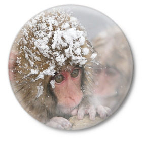 Значок с принтом Обезьянка и зима в Новосибирске,  металл | круглая форма, металлическая застежка в виде булавки | Тематика изображения на принте: бабуин | гамадрил | гиббон | горилла | гуманоид | дарвин | животное | зоопарк | кинг конг | мартышка | маугли | обезьяна | орангутанг | предок | примат | рожа | хомо сапиенс | шимпанзе