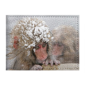Обложка для студенческого билета с принтом Обезьянка и зима в Новосибирске, натуральная кожа | Размер: 11*8 см; Печать на всей внешней стороне | бабуин | гамадрил | гиббон | горилла | гуманоид | дарвин | животное | зоопарк | кинг конг | мартышка | маугли | обезьяна | орангутанг | предок | примат | рожа | хомо сапиенс | шимпанзе