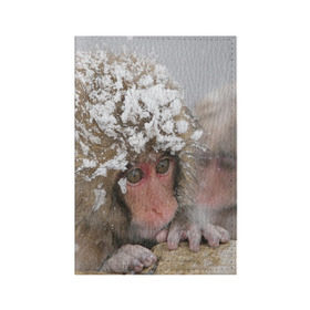 Обложка для паспорта матовая кожа с принтом Обезьянка и зима в Новосибирске, натуральная матовая кожа | размер 19,3 х 13,7 см; прозрачные пластиковые крепления | бабуин | гамадрил | гиббон | горилла | гуманоид | дарвин | животное | зоопарк | кинг конг | мартышка | маугли | обезьяна | орангутанг | предок | примат | рожа | хомо сапиенс | шимпанзе