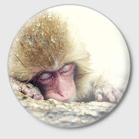Значок с принтом Обезьянка спит в Новосибирске,  металл | круглая форма, металлическая застежка в виде булавки | бабуин | животное | обезьяна | орангутанг | примат
