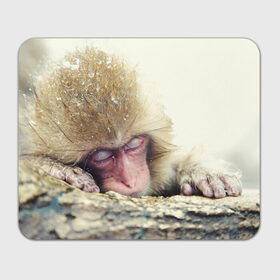 Коврик прямоугольный с принтом Обезьянка спит в Новосибирске, натуральный каучук | размер 230 х 185 мм; запечатка лицевой стороны | бабуин | животное | обезьяна | орангутанг | примат
