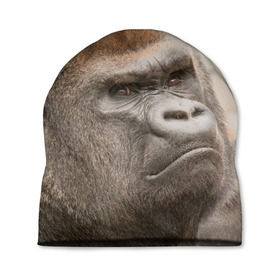 Шапка 3D с принтом Обезьяна в Новосибирске, 100% полиэстер | универсальный размер, печать по всей поверхности изделия | горилла | животное | обезьяна | примат