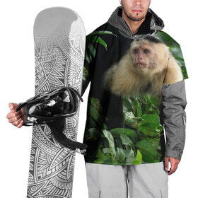 Накидка на куртку 3D с принтом Обезьянка в джунглях в Новосибирске, 100% полиэстер |  | бабуин | гамадрил | гиббон | горилла | гуманоид | дарвин | животное | зоопарк | кинг конг | мартышка | маугли | обезьяна | орангутанг | предок | примат | рожа | хомо сапиенс | шимпанзе